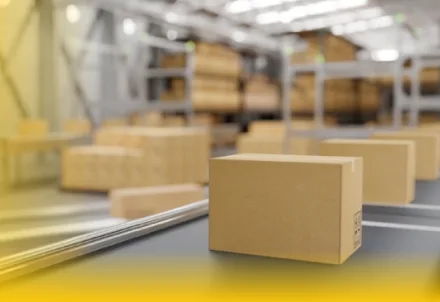 Xác nhận đơn hàng nhập khẩu mỹ phẩm